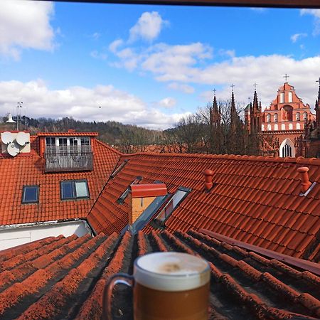 Private Sauna & 4 Bedrooms Old Town Rooftop Apartment Вильнюс Экстерьер фото