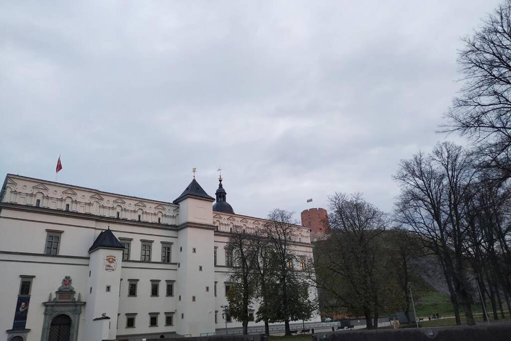 Private Sauna & 4 Bedrooms Old Town Rooftop Apartment Вильнюс Экстерьер фото