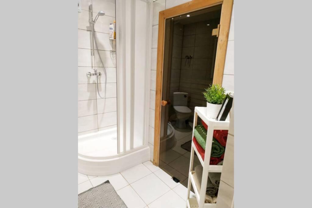 Private Sauna & 4 Bedrooms Old Town Rooftop Apartment Вильнюс Экстерьер фото
