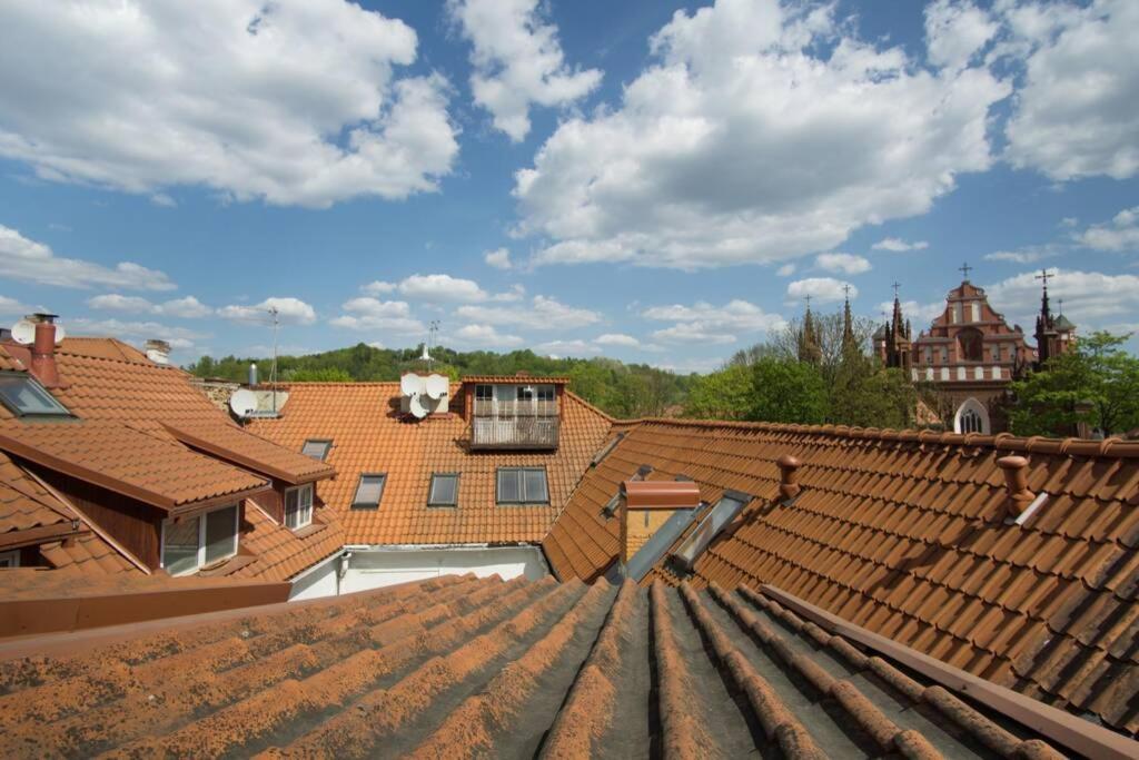 Private Sauna & 4 Bedrooms Old Town Rooftop Apartment Вильнюс Экстерьер фото